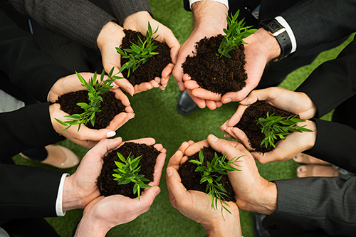 business hands holding plants